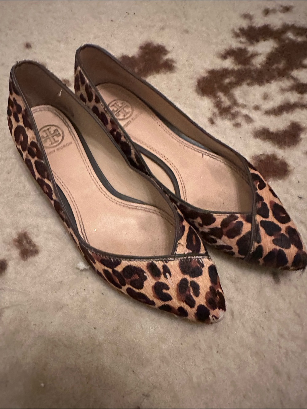 Tory Burch Leopard-Print Pointed-Toe Flats in Brown and Black Nicki sz 6